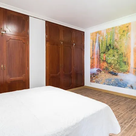 Appartement Lapahi